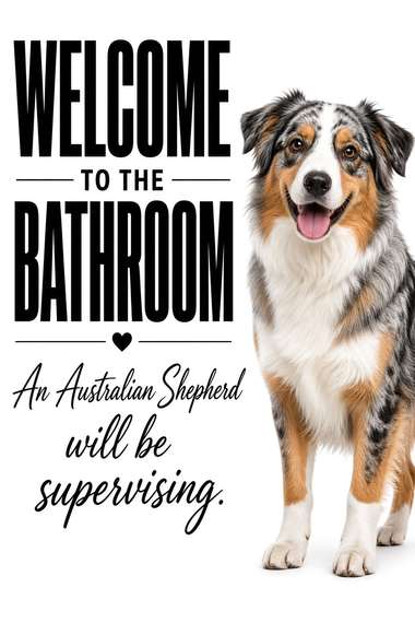 Australian Shepherd (Merle) poster, Bathroom Supervisors