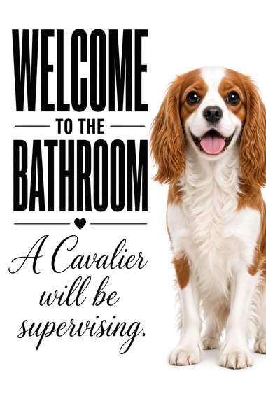 Cavalier King Charles poster, Bathroom Supervisors