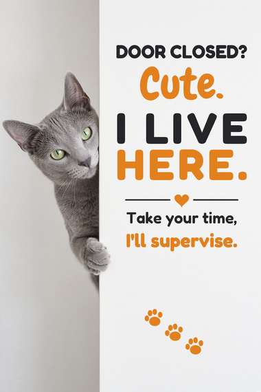 Russianblue poster, Cats at the Door