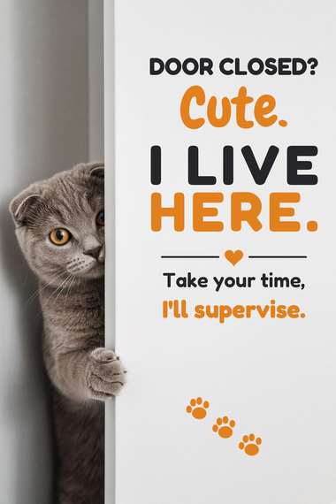 Scottishfold poster, Cats at the Door