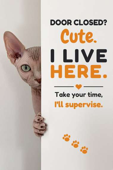Sphynx poster, Cats at the Door