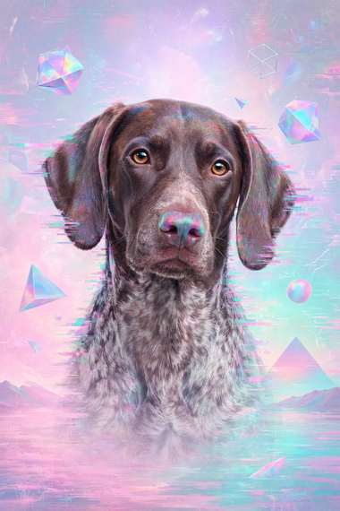 German Shorthaired Pointer poster, Cotton Candy Canines