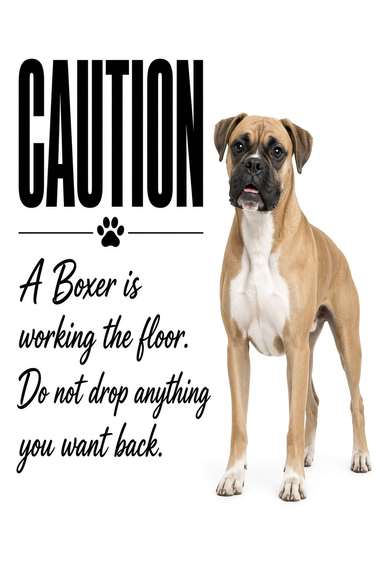 Boxer poster, Kitchen Dogs