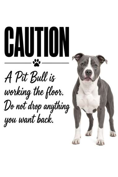 Pit Bull poster, Kitchen Dogs